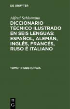 Alfred Schlomann: Diccionario Técnico Ilustrado en seis lenguas:... / Siderurgia