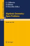 Algebraic Geometry - Open Problems