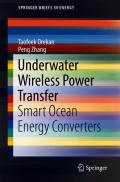 Underwater Wireless Power Transfer