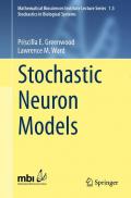 Stochastic Neuron Models