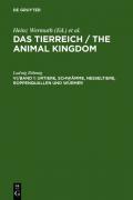 Das Tierreich / The Animal Kingdom / Urtiere, Schwämme, Nesseltiere, Roppenquallen und Würmer