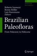 Brazilian Paleofloras
