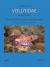 La Collection de Volutidae de Patrice Bail / The Volutidae Collection of Patrice Bail