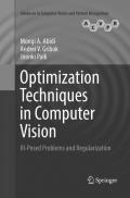 Optimization Techniques in Computer Vision