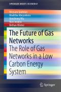 The Future of Gas Networks in Low Carbon Energy Systems